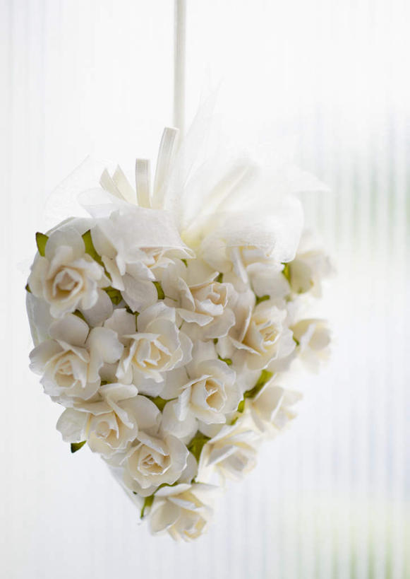 无人,竖图,室内,特写,白天,正面,爱情,幸福,纯洁,热情,窗户,玫瑰,许多,悬挂,阴影,爱心,盛开,反射,影子,玫瑰花,浪漫,花蕾,玻璃窗,花,花瓣,花朵,鲜花,排列,白色,白玫瑰,花苞,花蕊,温暖,温馨,心形,恩爱,和睦,队列,感动,尊敬,天真,刺玫花,徘徊花,心型,彩图,融洽