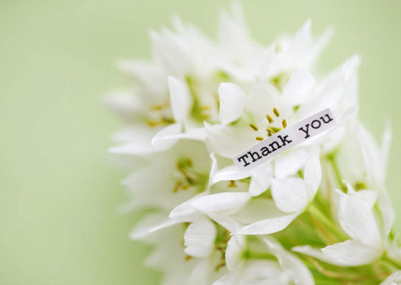 无人,横图,俯视,室内,特写,白天,叶子,父亲节,许多,绿色背景,节日,庆祝,盛开,英文,标志,文字,字符,字母,绿叶,纸条,花蕾,文化,标识,花,花瓣,花朵,鲜花,白色,花苞,花蕊,庆典,嫩叶,摄影,影棚,摆放,纪念,英文字母,放置,感恩,虎眼万年青,海葱,葫芦兰,鸟乳花,玻璃球花,叶,叶片,彩图,高角度拍摄,影棚拍摄,拍摄