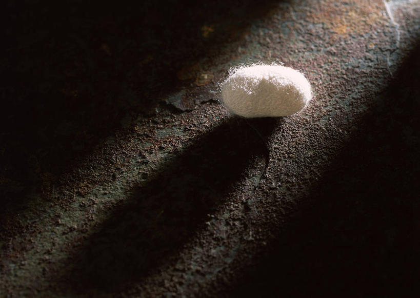 无人,横图,俯视,室内,特写,白天,地板,阴影,反射,影子,地面,木地板,一个,单个,蚕茧,家蚕茧,桑蚕茧,彩图,高角度拍摄