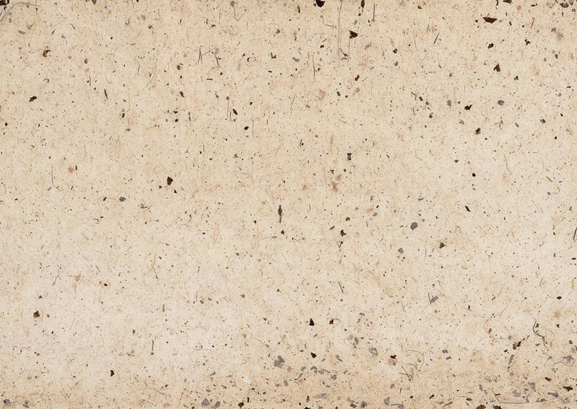 无人,横图,室内,特写,白天,正面,静物,一张,丰富,纹路,纹理,纸,斑点,褐色,纸张,黑点,文化,成熟,肌理,和纸,日本纸,谦让,随和,彩图