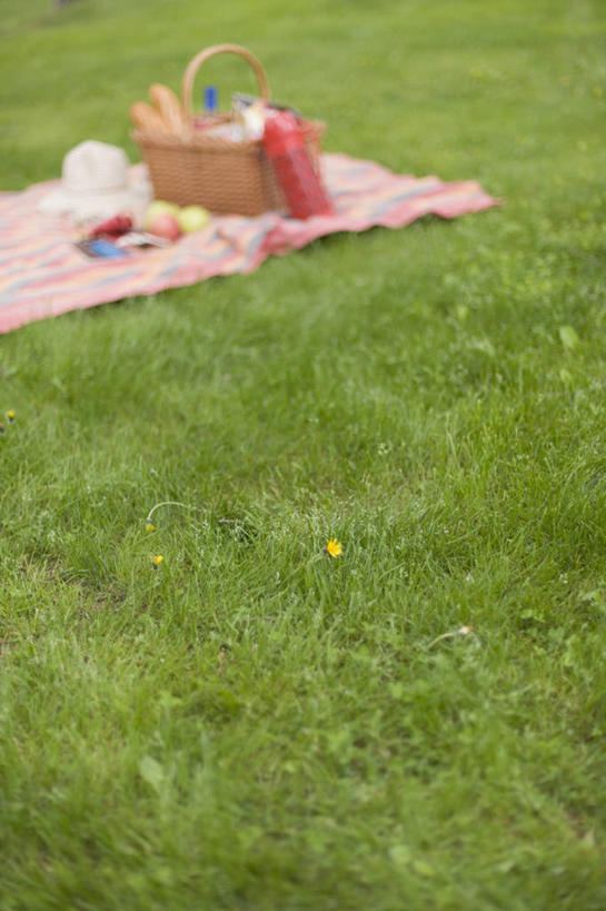 无人,竖图,室外,特写,白天,正面,草地,草坪,水,植物,朦胧,模糊,篮子,液体,坐垫,饮用水,草,绿色,瓶子,塑料制品,矿泉水,塑料瓶,蒸馏水,野餐垫,野餐地毯,多功能毯,食物篮,彩图,野餐篮