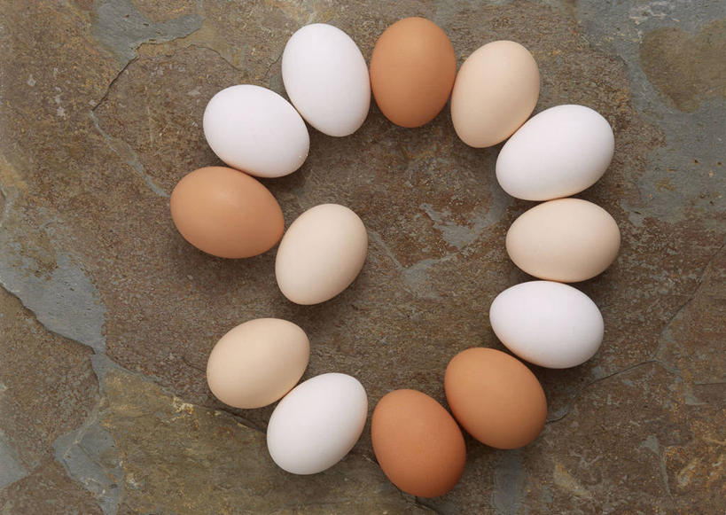 无人,横图,俯视,室内,特写,白天,许多,环绕,围绕,蛋,鸡蛋,很多,环抱,黄色,白色,草鸡蛋,卵,萦绕,彩图,高角度拍摄