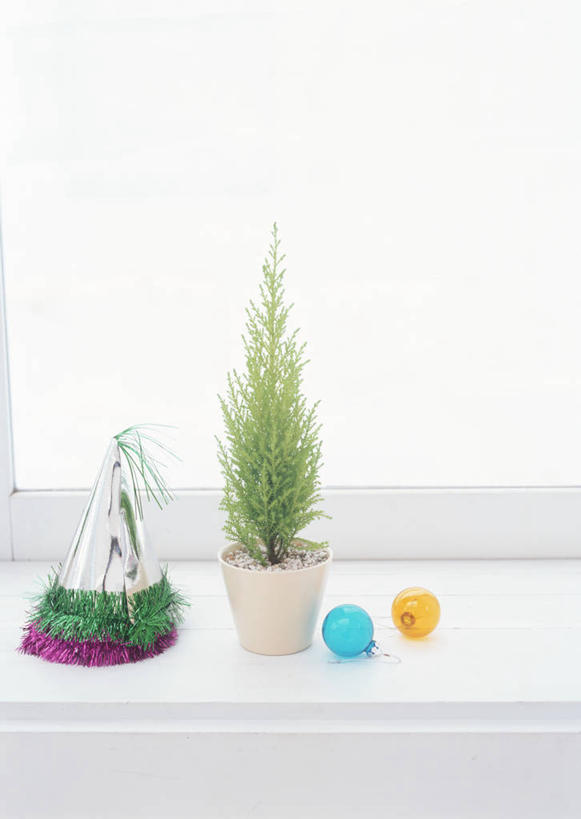 无人,竖图,室内,白天,正面,植物,窗户,柏树,帽子,纸质,装饰,挂饰,盆栽,墙,圣诞树,盆景,圣诞球,生日帽,玻璃窗,墙壁,墙面,球,树,树木,绿色,自然,球体,生长,成长,华丽,修饰,点缀,小丑帽,三角帽,狂欢帽,派对帽,聚会帽,纸帽,衬托,美观,雅致,雅观,高尚,长寿,不朽,正气,彩图