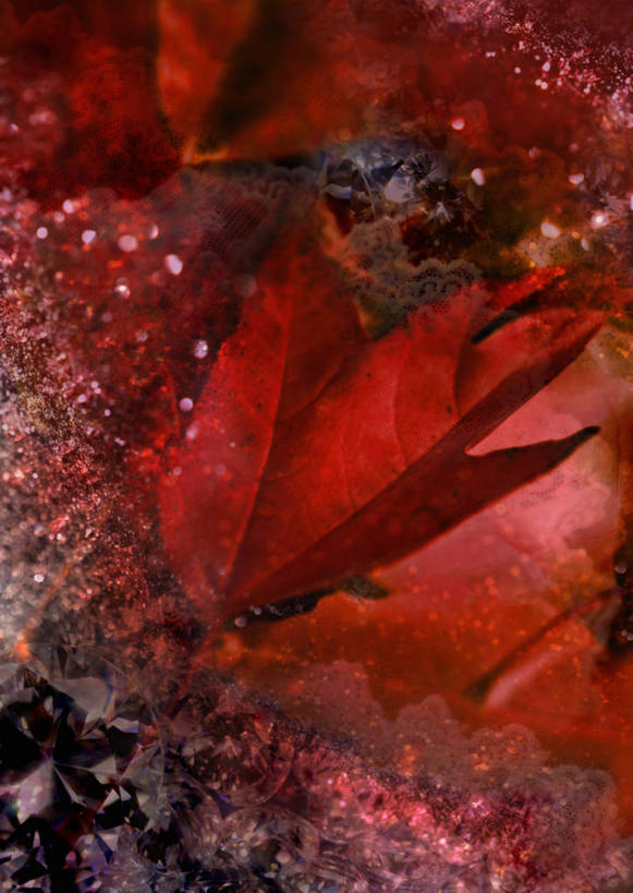 无人,竖图,室内,白天,正面,数码,科技,秋季,叶子,阴影,朦胧,模糊,光线,网络,影子,枯叶,落叶,高光,几何,计算机图形,合成,阳光,电脑合成图,数码合成图,合成图,下降,降落,写实,具体,具象,降低,下跌,下落,叶,叶片,秋,秋天,彩图