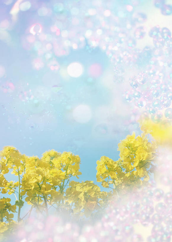 无人,农田,竖图,室内,白天,正面,庄稼,农作物,数码,科技,花海,花圃,植物,叶子,阴影,盛开,网络,高光,几何,计算机图形,合成,花蕾,花,花瓣,花朵,花卉,鲜花,绿色,花丛,花束,花田,花苞,花蕊,油菜花,电脑合成图,数码合成图,合成图,写实,具体,具象,彩图,耕地,庄稼田,油菜花田,芸苔,芸薹