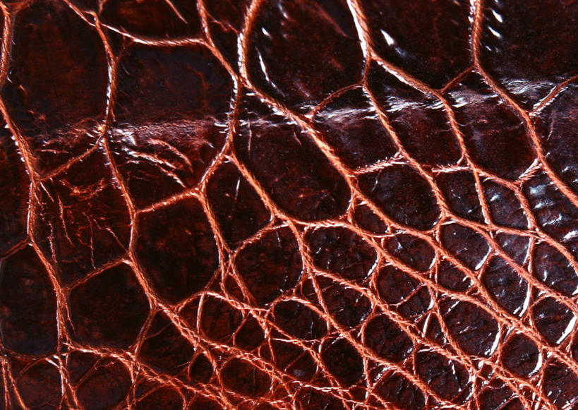 无人,横图,室内,特写,白天,正面,静物,一块,丰富,装饰,纹路,纹理,皮,褐色,皮革,温暖,成熟,皮肤,保暖,华丽,鳄鱼皮,皮毛,点缀,御寒,肌理,衬托,美观,雅致,雅观,谦让,随和,彩图,鳄鱼皮革