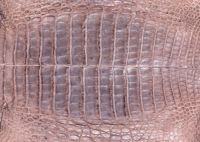无人,横图,室内,特写,白天,正面,静物,一块,丰富,装饰,纹路,纹理,皮,褐色,皮革,温暖,成熟,皮肤,保暖,华丽,鳄鱼皮,皮毛,点缀,御寒,肌理,衬托,美观,雅致,雅观,谦让,随和,彩图,鳄鱼皮革