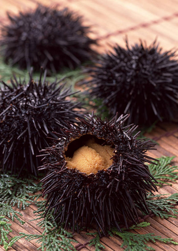 海鲜,无人,竖图,俯视,室内,特写,白天,植物,桌面,桌子,海胆,叶子,阴影,反射,木制,纹理,影子,绿叶,水产,海洋生物,绿色,黑色,木制品,四个,嫩叶,环刺海胆,水生动物,海产品,水生物,海底动物,肌理,刺锅子,海刺猬,叶,叶片,叶脉,半身,彩图,高角度拍摄