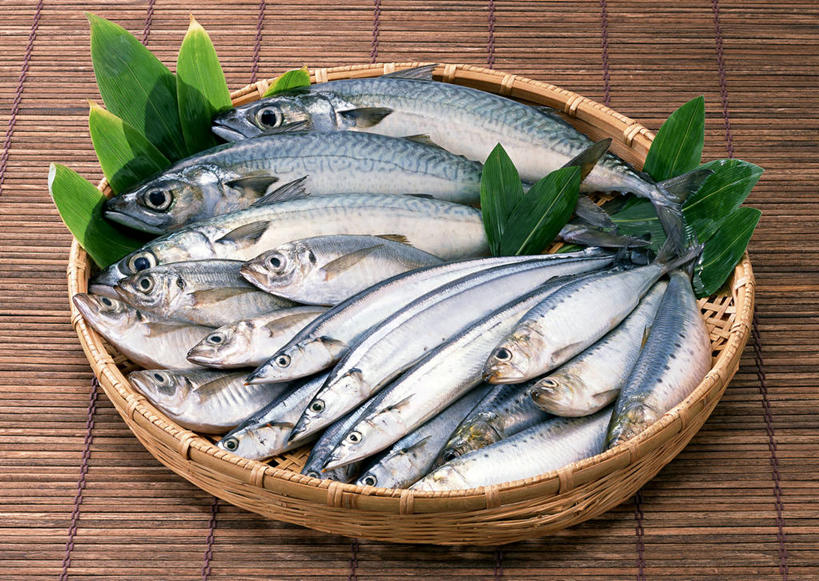 无人,交叉,横图,俯视,室内,特写,白天,植物,桌面,桌子,竹子,叶子,一堆,许多,阴影,堆叠,堆积,竹制,编织,反射,木制,秋刀鱼,鱼,篮子,纹理,影子,绿叶,很多,鲭鱼,鱼类,海洋生物,一个,绿色,木制品,竹篮,嫩叶,沙丁鱼,竹刀鱼,单个,竹条,堆,巴浪,刀鱼,鲱鱼,花池鱼,花鲱,花鳀,青花鱼,鲐鲅鱼,油胴鱼,竹荚鱼,交织,竹制品,水生动物,水生物,海底动物,肌理,沙甸鱼,沙鲻,沙脑鰛,大肚鰛,真鰛,萨丁鱼,鳁,鲱科,穿插,刺公,山鲐鱼,叶,叶片,叶脉,彩图,高角度拍摄,全身