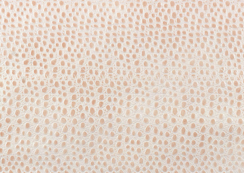 无人,横图,室内,特写,白天,正面,静物,一块,装饰,纹路,纹理,皮,皮革,白色,温暖,皮肤,保暖,华丽,牛皮,皮毛,点缀,卫生,御寒,纯真,肌理,衬托,美观,雅致,雅观,洁净,光明,恬静,中间色,朴素,清白,彩图,牛皮革,黄牛皮