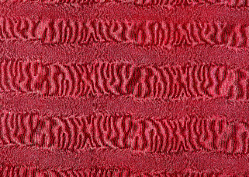 无人,横图,室内,特写,白天,正面,兴奋,热情,静物,一块,装饰,纹路,纹理,皮,皮革,开放,红色,健康,温暖,奔放,活力,积极,激情,朝气,皮肤,保暖,华丽,暖色,牛皮,皮毛,吉祥,点缀,生命,御寒,饱满,肌理,衬托,美观,雅致,雅观,革命,热烈,赤色,充实,斗志,喜气,主动,彩图,欢乐,牛皮革,黄牛皮