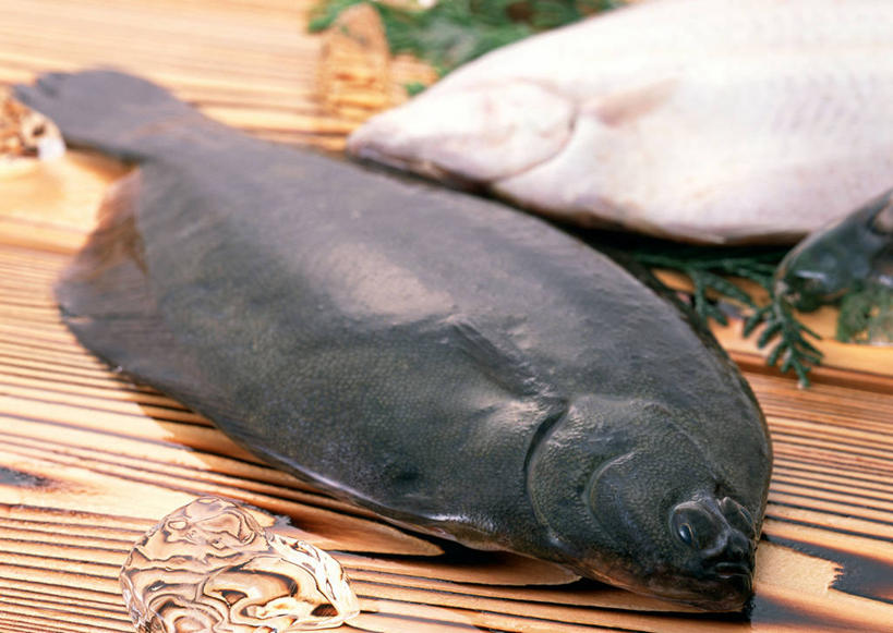 海鲜,无人,横图,俯视,室内,特写,白天,植物,桌面,桌子,比目鱼,叶子,两条,阴影,反射,木制,鱼,纹理,影子,绿叶,水产,海洋生物,绿色,白色,黑色,木制品,嫩叶,水生动物,海产品,水生物,海底动物,肌理,叶,叶片,叶脉,鲽鱼,半身,彩图,高角度拍摄,鲆鲽