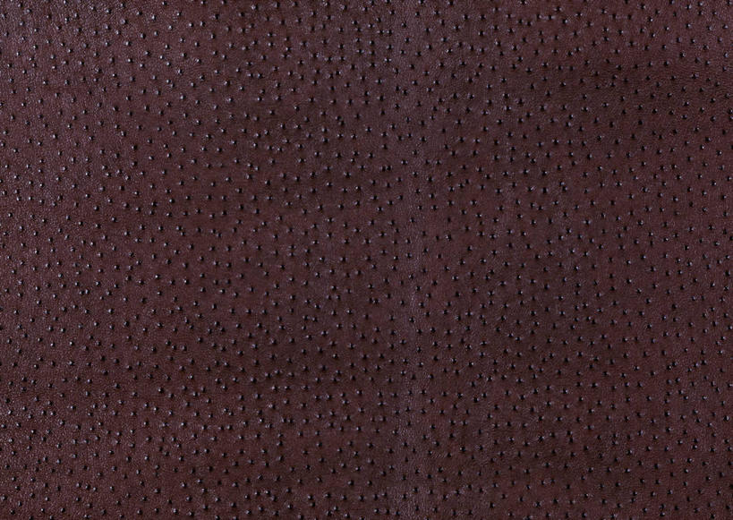 无人,横图,室内,特写,白天,正面,静物,一块,丰富,装饰,纹路,纹理,皮,褐色,皮革,温暖,成熟,皮肤,保暖,华丽,皮毛,点缀,御寒,肌理,衬托,美观,雅致,雅观,猪皮,谦让,随和,彩图,猪皮革