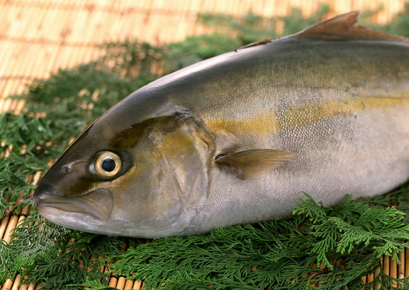 无人,横图,俯视,室内,特写,白天,桌面,桌子,一条,木制,鱼,肉,鱼肉,水产,肉类,鱼类,木制品,死亡,水生动物,水生物,肉食,殒命,灭亡,大红鱼,哲罗鲑,哲罗鱼,半身,彩图,高角度拍摄