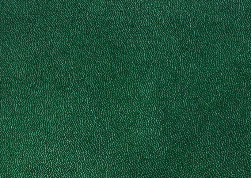 无人,横图,室内,特写,白天,正面,静物,阴影,新鲜,反射,纹路,纹理,影子,皮,皮革,绿色,青春,皮肤,皮毛,羊皮,生命,和平,安详,肌理,冷色,彩图,羊皮革,山羊皮