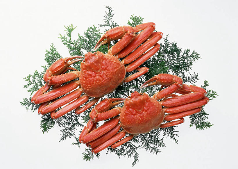 海鲜,无人,横图,俯视,室内,特写,白天,白色背景,叶子,阴影,反射,皇后蟹,影子,绿叶,水产,海洋生物,两只,嫩叶,摄影,影棚,皮匠蟹,雪蟹,死亡,水生动物,海产品,水生物,海底动物,殒命,灭亡,叶,叶片,彩图,高角度拍摄,全身,影棚拍摄,拍摄