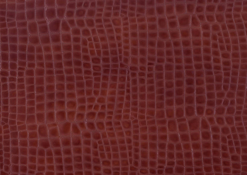 无人,横图,室内,特写,白天,正面,静物,阴影,丰富,反射,纹路,纹理,影子,皮,褐色,皮革,成熟,皮肤,牛皮,皮毛,肌理,谦让,随和,彩图,牛皮革