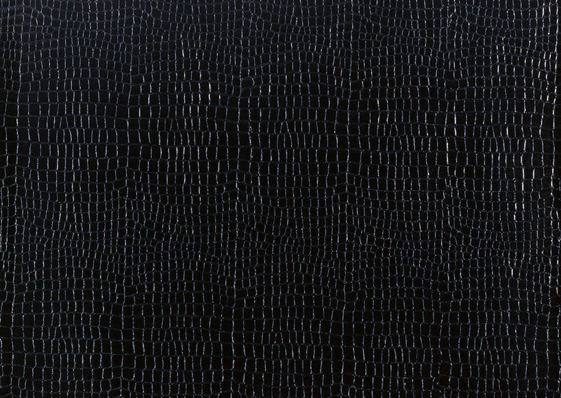 无人,横图,室内,特写,白天,正面,神秘,静物,阴影,反射,纹路,纹理,影子,皮,皮革,黑色,皮肤,严肃,牛皮,皮毛,庄重,含蓄,肌理,沉静,中间色,彩图,牛皮革