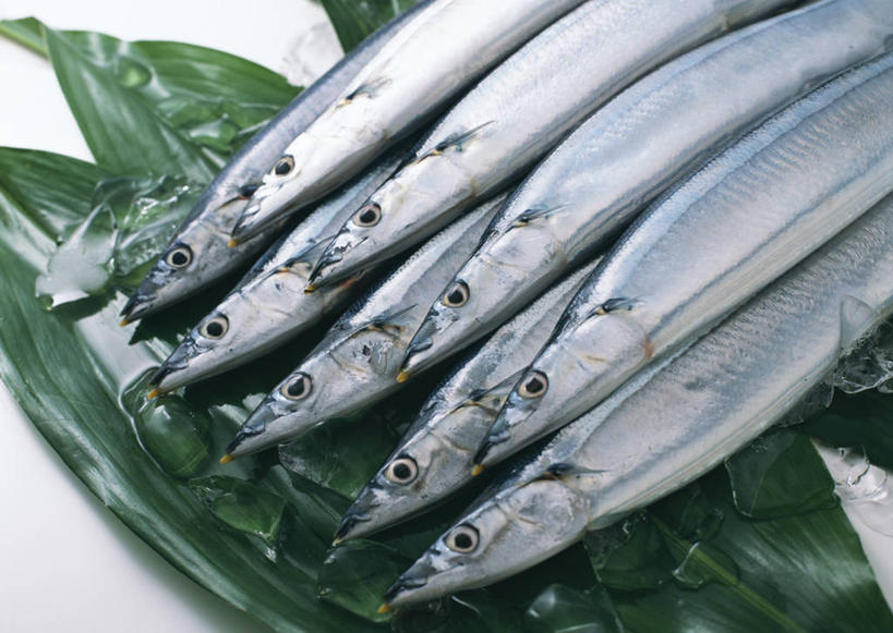 海鲜,无人,横图,俯视,室内,特写,白天,白色背景,叶子,一排,许多,阴影,整齐,反射,秋刀鱼,影子,绿叶,水产,海洋生物,排列,嫩叶,摄影,影棚,竹刀鱼,堆,刀鱼,死亡,队列,水生动物,海产品,水生物,海底动物,殒命,灭亡,叶,叶片,彩图,高角度拍摄,影棚拍摄,拍摄