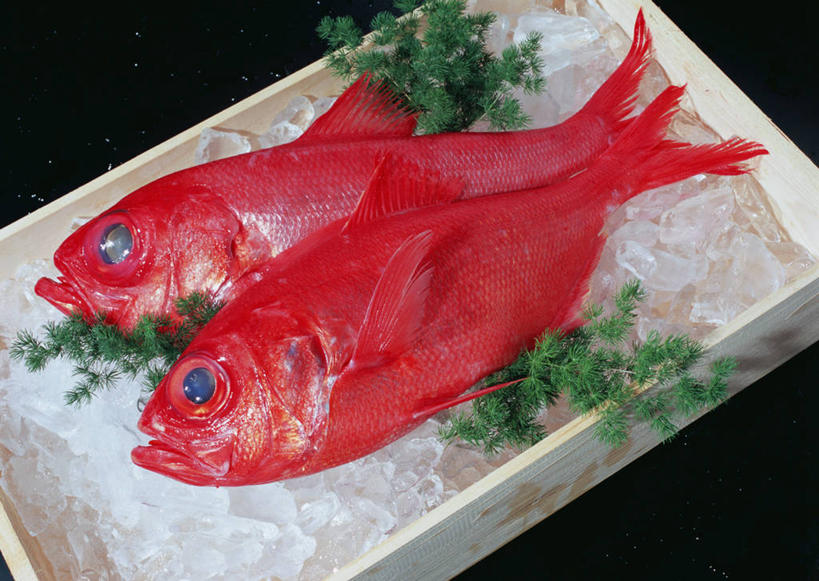 海鲜,无人,横图,俯视,室内,特写,白天,叶子,两条,阴影,黑色背景,反射,木制,木盒,影子,冰,冰块,绿叶,鲷鱼,冷冻,水产,海洋生物,一个,木制品,容器,嫩叶,寒冷,摄影,影棚,冷藏,单个,储藏,鲷,加吉鱼,金眼鲷,铜盆鱼,死亡,冰冷,储存,水生动物,海产品,水生物,海底动物,班加吉,加真鲷,保鲜,殒命,灭亡,叶,叶片,彩图,高角度拍摄,全身,影棚拍摄,拍摄,后鳍金眼鲷,贮存