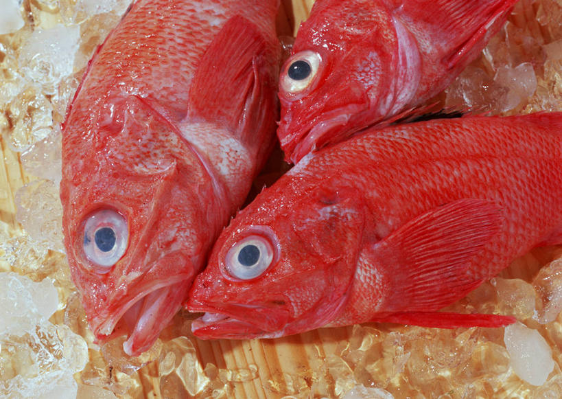 海鲜,无人,横图,俯视,室内,特写,白天,桌面,桌子,阴影,反射,影子,大理石,鲷鱼,水产,海洋生物,红色,三条,鲷,加吉鱼,铜盆鱼,真鲷,死亡,水生动物,海产品,水生物,红鲷,海底动物,班加吉,加真鲷,大理石制品,红加吉,殒命,灭亡,半身,彩图,高角度拍摄