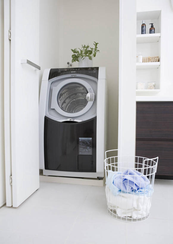 无人,竖图,室内,白天,正面,植物,门,服装,电器,篮子,盆栽,塑料,墙,盆景,墙壁,墙面,衣服,绿色,白色,自然,容器,塑料制品,门框,服饰,洗衣机,生长,成长,储藏,家电,家用电器,衣着,滚筒洗衣机,储存,穿着,衣饰,清洗,洗涤,彩图,贮存