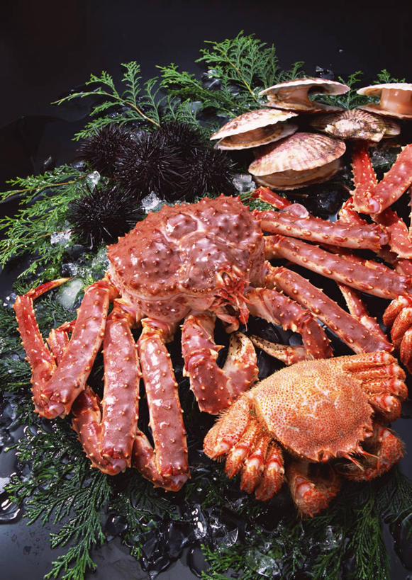 海鲜,无人,竖图,俯视,室内,特写,白天,叶子,一堆,许多,阴影,堆叠,堆积,黑色背景,反射,皇后蟹,影子,绿叶,帝王蟹,扇贝,水产,海洋生物,嫩叶,摄影,影棚,堆,海扇,皮匠蟹,雪蟹,水生动物,海产品,水生物,海底动物,皇帝蟹,叶,叶片,彩图,高角度拍摄,影棚拍摄,拍摄