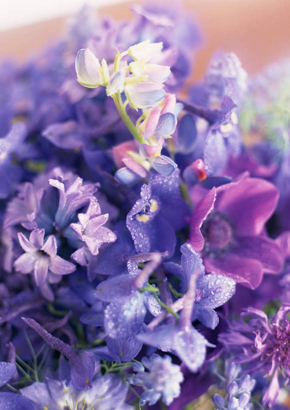 无人,竖图,室内,特写,白天,正面,爱情,智慧,阴影,朦胧,模糊,艺术,装饰,盛开,反射,影子,花蕾,文化,花,花瓣,花朵,鲜花,紫色,插花,花苞,花蕊,金花菊,银莲花,悲伤,华丽,修饰,插花艺术,点缀,创造,忧郁,创作,想象,王爷葵,银莲,复活节花,衬托,美观,雅致,雅观,蓝壶花,蓝瓶花,葡萄百合,葡萄风信子,葡萄麝香兰,葡萄水仙,妒忌,肿柄菊,彩图