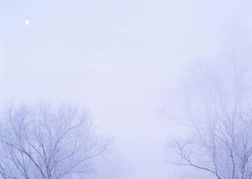 无人,横图,室外,白天,正面,旅游,度假,美景,森林,树林,雪,植物,暴风雪,大暴雪,大雪,北海道,日本,亚洲,朦胧,模糊,积雪,景观,雪景,冬季,冬天,娱乐,树,树木,绿色,自然,享受,休闲,景色,放松,寒冷,生长,成长,自然风光,东亚,日本国,北海道地方,北海道岛,严寒,暴雪,彩图