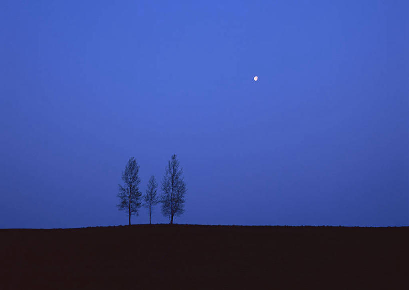 无人,横图,室外,夜晚,正面,旅游,度假,美景,树林,植物,北海道,日本,亚洲,地平线,景观,月亮,辽阔,地面,月光,娱乐,树,树木,蓝色,绿色,蓝天,天空,自然,天,享受,休闲,广阔,景色,放松,生长,晴朗,成长,一望无际,明亮,自然风光,延伸,东亚,万里无云,日本国,天地相交,北海道地方,北海道岛,美瑛町,皎洁,美瑛,道北,无边无际,一马平川,晴空,晴空万里,彩图,上川郡,上川支厅