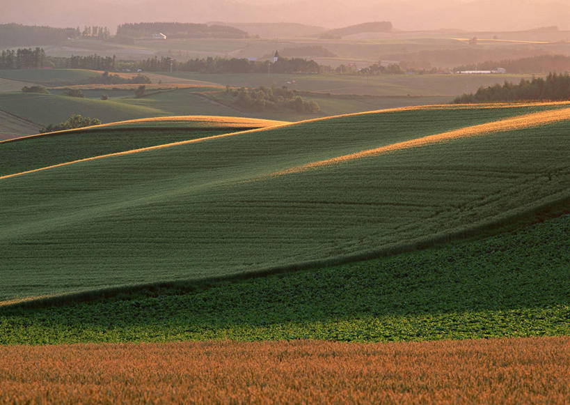 无人,农田,横图,室外,白天,正面,旅游,度假,庄稼,农作物,草地,草坪,日出,美景,山,山脉,树林,太阳,植物,北海道,日本,亚洲,阴影,光线,影子,景观,山峰,朝霞,晨曦,黎明,山峦,娱乐,草,树,树木,绿色,阳光,自然,群山,享受,休闲,景色,放松,生长,成长,自然风光,东亚,日本国,北海道地方,北海道岛,美瑛町,美瑛,道北,朝阳,彩图,耕地,庄稼田,卯时,破晓,日始,上川郡,上川支厅