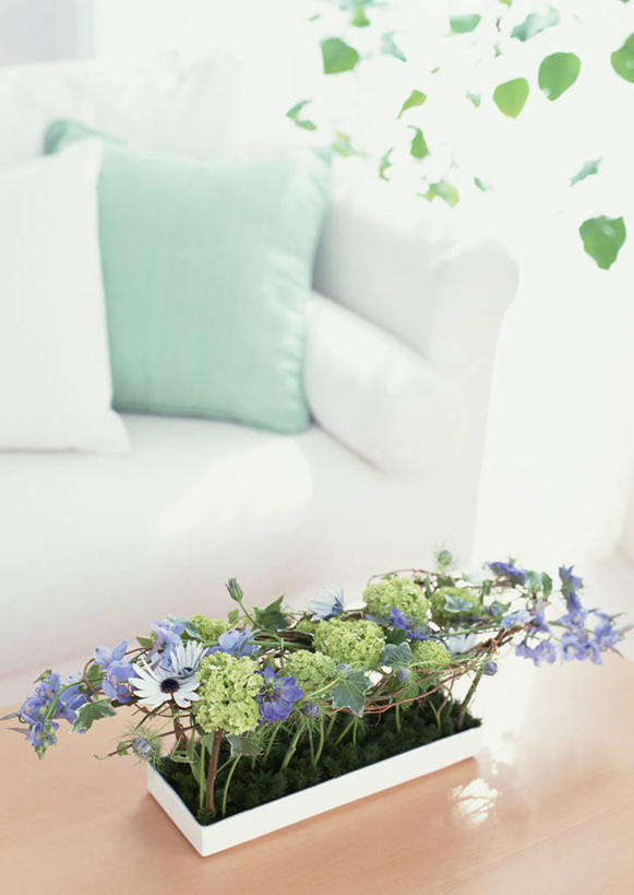 无人,客厅,竖图,俯视,室内,特写,白天,智慧,植物,靠垫,沙发,桌子,叶子,朦胧,模糊,艺术,盛开,木制,盆栽,绿叶,靠枕,盆景,花蕾,茶几,文化,花,花瓣,花朵,鲜花,绿色,自然,插花,木制品,垫子,枕头,花苞,花蕊,嫩叶,菊花,生长,成长,插花艺术,创造,起居室,创作,想象,布艺沙发,萝小花,翠雀,客堂,大花飞燕草,飞燕草,叶,叶片,彩图,高角度拍摄,白蓝菊