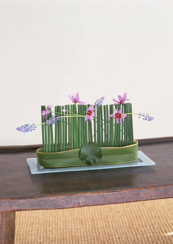 无人,竖图,室内,特写,白天,正面,爱情,智慧,桌面,桌子,花瓶,阴影,艺术,装饰,盛开,反射,木制,影子,陶瓷,陶瓷制品,花蕾,文化,花,花瓣,花朵,鲜花,插花,木制品,瓶子,花苞,花蕊,悲伤,华丽,修饰,插花艺术,点缀,创造,忧郁,创作,想象,衬托,美观,雅致,雅观,蓝壶花,蓝瓶花,葡萄百合,葡萄风信子,葡萄麝香兰,葡萄水仙,妒忌,彩图