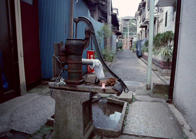 无人,家,横图,室外,白天,正面,度假,美景,植物,城市风光,城市,道路,路,叶子,东京,日本,亚洲,阴影,光线,盆栽,影子,房屋,墙,屋子,景观,小路,绿叶,盆景,交通,娱乐,楼房,墙壁,墙面,住宅,绿色,阳光,自然,享受,休闲,嫩叶,景色,放松,生长,成长,水泵,东亚,本州,关东地方,本州岛,日本国,东京都,台东区,叶,叶片,彩图,房子