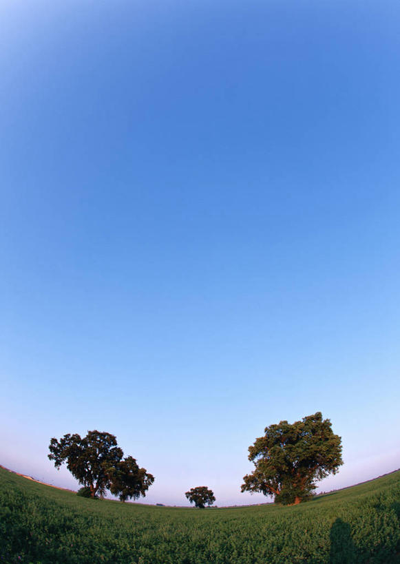 无人,公园,竖图,室外,白天,广角镜头,鱼眼镜头,仰视,旅游,度假,草地,草坪,美景,植物,美国,阴影,光线,影子,景观,娱乐,草,树,树木,蓝色,绿色,蓝天,天空,阳光,自然,天,享受,休闲,景色,放松,生长,晴朗,成长,北美,北美洲,国家公园,加利福尼亚,自然风光,约塞米蒂国家公园,美洲,加州,加利福尼亚州,万里无云,优胜美地国家公园,金州,黄金州,北亚美利加洲,亚美利加洲,美国尤塞米提国家公园,优山美地,约瑟米提国家公园,晴空,晴空万里,彩图,低角度拍摄