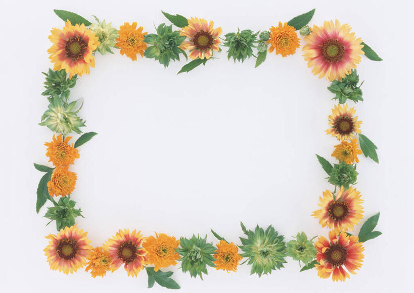 无人,横图,俯视,室内,特写,白天,白色背景,爱情,幸福,纯洁,热情,太阳,向日葵,玫瑰,叶子,相框,装饰,环绕,盛开,围绕,图形,绿叶,玫瑰花,长方形,几何,浪漫,花蕾,环抱,花,花瓣,花朵,鲜花,一个,黄色,绿色,花苞,花蕊,温暖,温馨,嫩叶,恩爱,摄影,影棚,单个,华丽,修饰,点缀,和睦,矩形,数学,感动,光辉,沉默,忠诚,衬托,美观,雅致,雅观,尊敬,勇敢,投缘,爱慕,萦绕,高傲,天真,朝阳花,刺玫花,葵花,徘徊花,望日莲,向阳花,转日莲,叶,叶片,彩图,高角度拍摄,影棚拍摄,拍摄,几何图形,平面图形,绿玫瑰,融洽