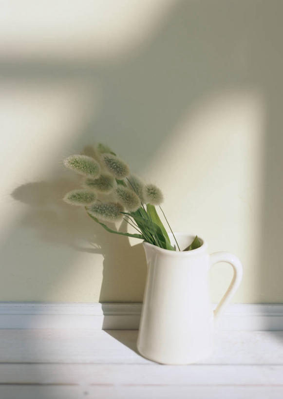 无人,竖图,俯视,室内,特写,白天,植物,桌面,桌子,花瓶,阴影,盛开,反射,木制,影子,陶瓷,墙,草药,药草,陶瓷制品,花蕾,中药,墙壁,墙面,花,花瓣,花朵,鲜花,白色,木制品,瓶子,花苞,花蕊,药材,中草药,中药材,本草,兔尾草,狐狸尾,狸尾豆,彩图,高角度拍摄