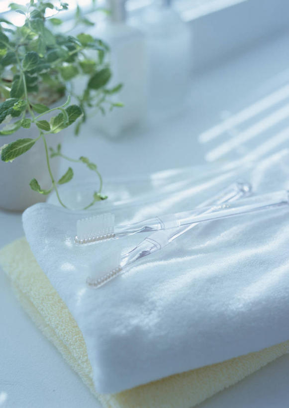 无人,竖图,俯视,室内,特写,白天,植物,桌子,叶子,两条,一把,阴影,反射,纺织物,盆栽,牙刷,影子,绿叶,盆景,绿色,自然,毛巾,日用品,清洁,嫩叶,生长,成长,洗漱用品,保暖,卫生,透气,防水,储水,耐磨,吸水,叶,叶片,彩图,高角度拍摄