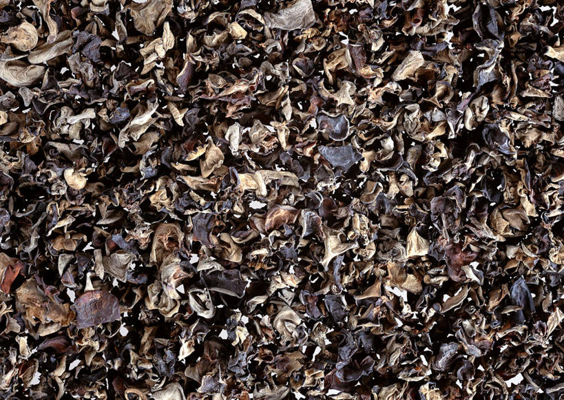 无人,横图,俯视,室内,特写,白天,蔬菜,一堆,许多,堆叠,堆积,新鲜,菌菇,食品,很多,菌类,木耳,食物,黑色,食用菌,摄影,有机食品,绿色食品,影棚,堆,黑木耳,光木耳,彩图,高角度拍摄,影棚拍摄,拍摄