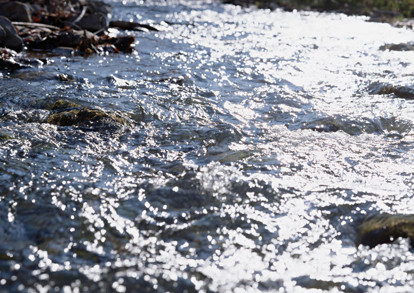 无人,横图,室外,白天,正面,旅游,度假,河流,美景,水,阴影,清澈,光线,影子,河水,景观,水流,娱乐,小溪,阳光,自然,溪水,享受,休闲,景色,放松,波光粼粼,自然风光,明澈,清彻,清亮,彩图