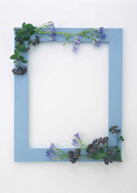 无人,竖图,俯视,室内,特写,白天,白色背景,爱情,叶子,相框,装饰,环绕,盛开,围绕,木制,图形,绿叶,长方形,几何,花蕾,环抱,花,花瓣,花朵,鲜花,一个,木制品,花苞,花蕊,嫩叶,恋爱,摄影,影棚,单个,华丽,修饰,百子莲,点缀,矩形,数学,衬托,美观,雅致,雅观,萦绕,蓝花君子兰,紫花君子兰,紫君子兰,紫穗兰,叶,叶片,彩图,高角度拍摄,影棚拍摄,拍摄,几何图形,平面图形