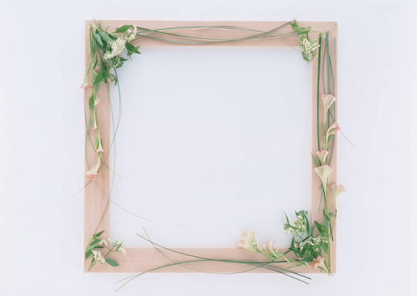 无人,横图,俯视,室内,特写,白天,白色背景,相框,装饰,盛开,图形,正方形,几何,花蕾,花,花瓣,花朵,鲜花,一个,花苞,花蕊,摄影,影棚,单个,华丽,修饰,点缀,数学,衬托,美观,雅致,雅观,彩图,高角度拍摄,影棚拍摄,拍摄,几何图形,平面图形,正四边形