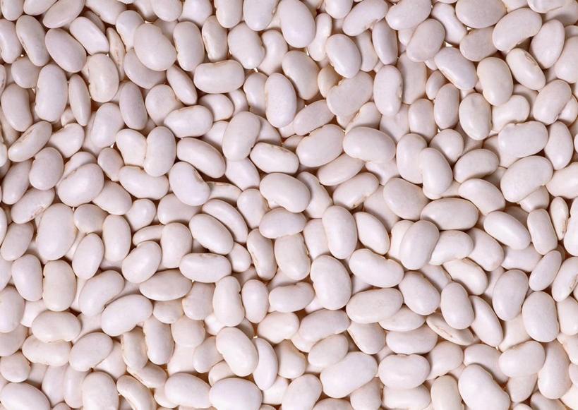 无人,横图,俯视,室内,特写,白天,植物,豆,蔬菜,一堆,许多,阴影,堆叠,堆积,新鲜,反射,影子,豆类,豆子,刀豆,食品,四季豆,食物,白色,有机食品,绿色食品,堆,卫生,芸豆,纯真,豆科,菜豆,二季豆,白肾豆,架豆,玉豆,去豆,洁净,光明,恬静,中间色,朴素,清白,多花菜豆,彩图,高角度拍摄