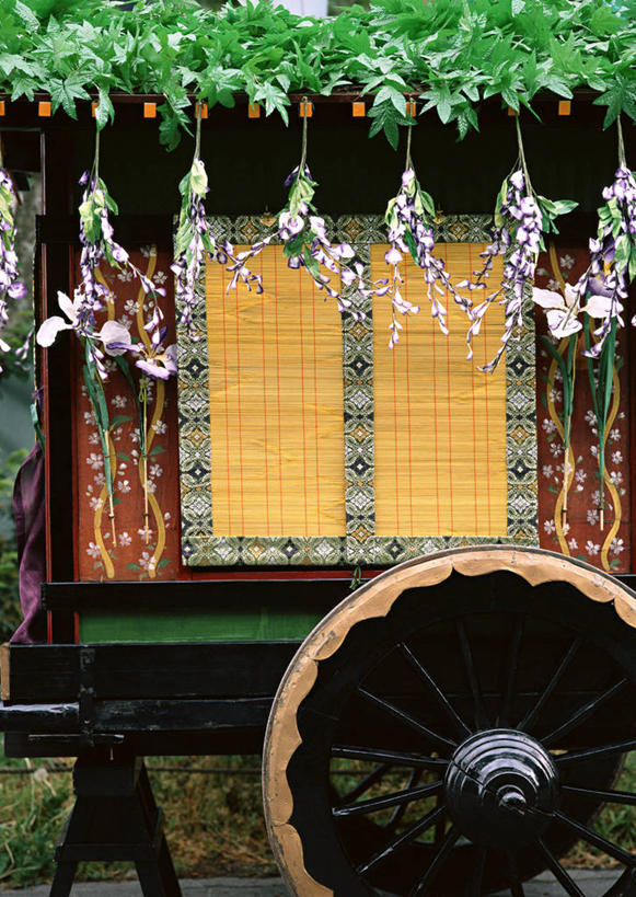 无人,竖图,室内,特写,白天,正面,一辆,吊挂,悬挂,阴影,日本文化,盛开,反射,影子,马车,紫藤,挂,花蕾,文化,车,花,花瓣,花朵,鲜花,交通工具,花苞,花蕊,载具,朱藤,藤萝,招藤,招豆藤,彩图