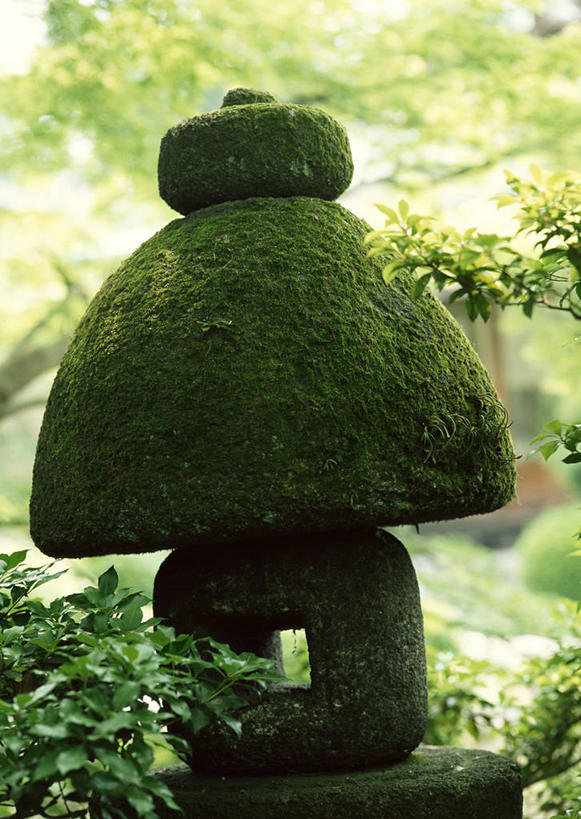 无人,竖图,室外,特写,白天,正面,旅游,度假,美景,植物,照明,京都,日本,亚洲,朦胧,模糊,景观,灯光,娱乐,灯,树,树木,绿色,自然,灯具,享受,休闲,景色,放松,京都府,生长,成长,照亮,照明设备,自然风光,东亚,本州,本州岛,日本国,近畿地方,近畿,彩图,石灯