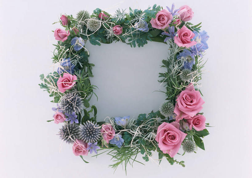 无人,横图,俯视,室内,特写,白天,白色背景,爱情,幸福,纯洁,热情,玫瑰,叶子,相框,装饰,环绕,盛开,围绕,图形,正方形,绿叶,玫瑰花,几何,浪漫,花蕾,环抱,花,花瓣,花朵,鲜花,一个,花苞,花蕊,温暖,温馨,嫩叶,恩爱,恋爱,摄影,影棚,单个,华丽,修饰,百子莲,点缀,和睦,数学,感动,萝小花,衬托,美观,雅致,雅观,尊敬,萦绕,翠雀,蓝花君子兰,紫花君子兰,紫君子兰,紫穗兰,天真,刺玫花,大花飞燕草,飞燕草,徘徊花,叶,叶片,彩图,高角度拍摄,影棚拍摄,拍摄,几何图形,平面图形,正四边形,融洽