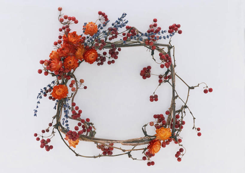 无人,横图,俯视,室内,特写,白天,白色背景,爱情,叶子,相框,装饰,环绕,盛开,围绕,图形,正方形,绿叶,几何,浪漫,花蕾,环抱,花,花瓣,花朵,鲜花,一个,香草,花苞,花蕊,薰衣草,嫩叶,摄影,影棚,单个,华丽,修饰,点缀,数学,呼吸,灵香草,黄香草,衬托,美观,雅致,雅观,蜡菊,萦绕,奇迹,麦秆菊,叶,叶片,彩图,高角度拍摄,影棚拍摄,拍摄,几何图形,平面图形,正四边形