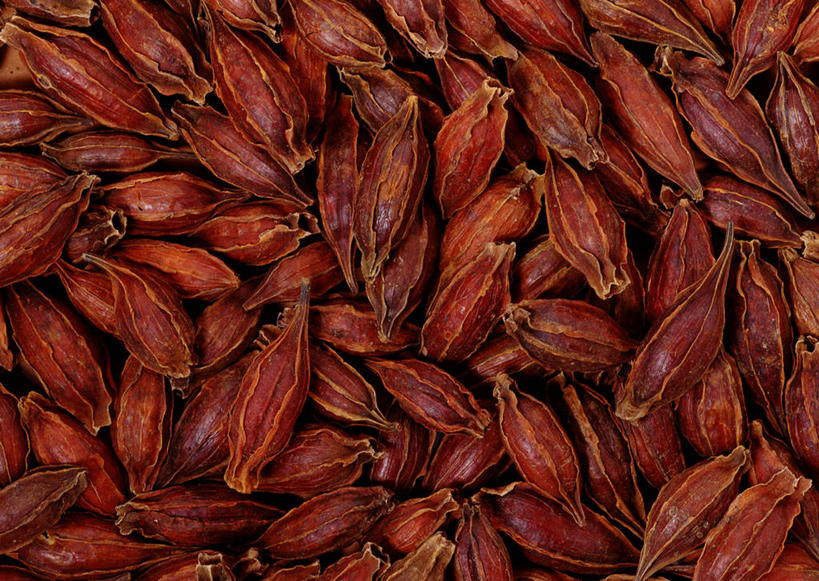 无人,横图,俯视,室内,特写,白天,爱情,一堆,许多,阴影,堆叠,堆积,丰富,反射,影子,褐色,栀子花,成熟,堆,栀子,坚强,永恒,守候,黄栀,黄栀子,山栀,山栀子,谦让,随和,彩图,高角度拍摄