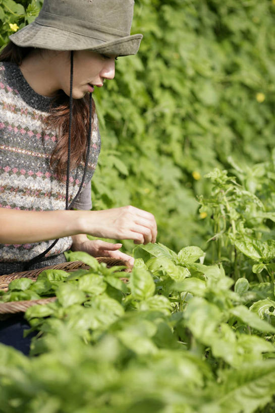 东方人,一个人,菜园,蹲,竖图,室内,白天,侧面,农作物,田园,蔬菜,帽子,亚洲,仅一个年轻女性,仅一个女性,仅一个人,握,服装,新鲜,暖棚,苦瓜,食品,拿,拿着,注视,休闲装,黄种人,食物,衣服,遮阳帽,观察,看,休闲,休闲服,凉瓜,握着,服饰,有机食品,绿色食品,观看,渔夫帽,察看,关注,菜棚,田庄,君子菜,癞瓜,癞葡萄,年轻女性,女人,女性,亚洲人,蹲着,半身,彩图
