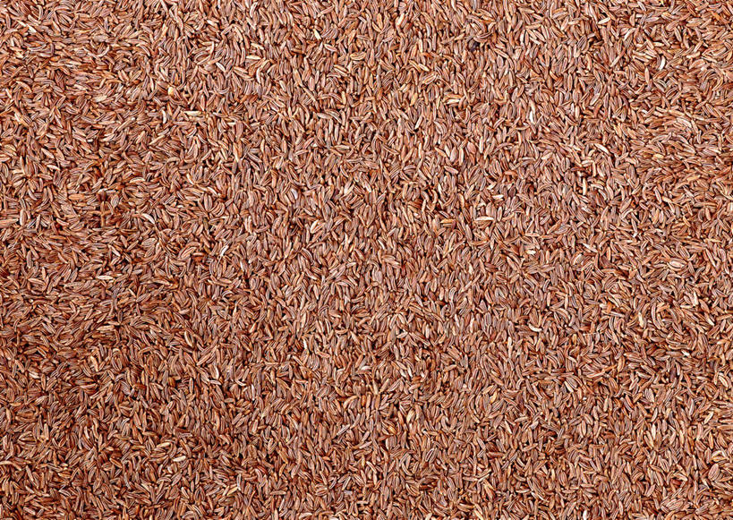 无人,横图,俯视,室内,特写,白天,一堆,许多,阴影,堆叠,堆积,丰富,反射,影子,调料,褐色,调味品,调味料,成熟,堆,胡荽籽,谦让,随和,香菜籽,芫荽籽,须菜籽,彩图,高角度拍摄